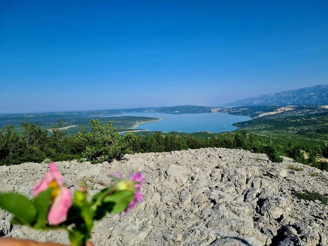 Apartman Ivan Krusevo  Экстерьер фото